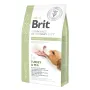 Сухий корм Brit GF VetDiet Dog Diabetes для собак, при цукровому діабеті, з індичкою та горохом, 2 кг Сухий корм Brit GF VetDiet Dog Diabetes для собак, при цукровому діабеті, з індичкою та горохом, 2 кг