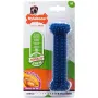 Nylabone Moderate Chew Dental Bone НІЛАБОН ДЕНТАЛ БОУН жувальна іграшка для собак, смак курки M, для собак до 16 кг Nylabone Moderate Chew Dental Bone НІЛАБОН ДЕНТАЛ БОУН жувальна іграшка для собак, смак курки M, для собак до 16 кг