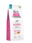 Сухий корм Brit Care Dog Grain-free Puppy для цуценят, беззерновий з лососем, 12 кг Сухий корм Brit Care Dog Grain-free Puppy для цуценят, беззерновий з лососем, 12 кг