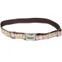 Coastal Pet Attire Ribbon КОСТАЛ РІББОН нашийник для собак, 1.6х46см Квіти троянд Coastal Pet Attire Ribbon КОСТАЛ РІББОН нашийник для собак, 1.6х46см Квіти троянд