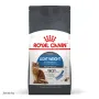 Сухий корм Royal Canin LIGHT WEIGHT CARE для котів всіх порід 0,4 кг Сухий корм Royal Canin LIGHT WEIGHT CARE для котів всіх порід 0,4 кг