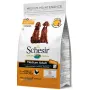 Schesir Dog Medium Adult Chicken ШЕЗІР ДОРОСЛИЙ СЕРЕДНІХ КУРКА сухий монопротеїновий корм для собак середніх порід 3 кг Schesir Dog Medium Adult Chicken ШЕЗІР ДОРОСЛИЙ СЕРЕДНІХ КУРКА сухий монопротеїновий корм для собак середніх порід 3 кг