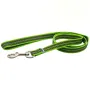 Sprenger Rubberized Leash with Handle СПРЕНГЕР ПРОГУМОВАНИЙ ПОВІДЕЦЬ із ручкою для собак Зелений Sprenger Rubberized Leash with Handle СПРЕНГЕР ПРОГУМОВАНИЙ ПОВІДЕЦЬ із ручкою для собак Зелений