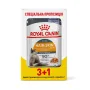 Вологий корм Royal Canin HAIR&SKIN CARE IN JELLY для котів всіх порід 85 г 3+1 Вологий корм Royal Canin HAIR&SKIN CARE IN JELLY для котів всіх порід 85 г 3+1