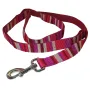 Coastal Pet Attire Weave КОСТАЛ повідець для собак, 2.5смХ1.2м Смужка Coastal Pet Attire Weave КОСТАЛ повідець для собак, 2.5смХ1.2м Смужка