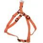 Coastal New Earth Soy Dog Harness КОСТАЛ СОЄВА ЕКОШЛЕЯ для собак Помаранчевий Coastal New Earth Soy Dog Harness КОСТАЛ СОЄВА ЕКОШЛЕЯ для собак Помаранчевий