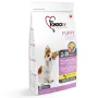 1st Choice Puppy Toy&Small Lamb&Fish ФЕСТ ЧОЙС ЦУЦЕНЯ МІНІ ЯГНЯ РИБА сухий суперпреміум корм для цуценят міні та малих порід 2,72 кг 1st Choice Puppy Toy&Small Lamb&Fish ФЕСТ ЧОЙС ЦУЦЕНЯ МІНІ ЯГНЯ РИБА сухий суперпреміум корм для цуценят міні та малих порід 2,72 кг