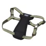 Coastal K9 Explorer Harness КОСТАЛ К9 ЕКСПЛОРЕР світловідбивна шлея з нагрудником для собак 20.4-45.3кг Папороть Coastal K9 Explorer Harness КОСТАЛ К9 ЕКСПЛОРЕР світловідбивна шлея з нагрудником для собак 20.4-45.3кг Папороть