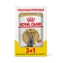 Вологий корм Royal Canin BRITISH SHORTHAIR ADULT для котів всіх поріди Британська короткошерста кішка 85 г 3+1 Вологий корм Royal Canin BRITISH SHORTHAIR ADULT для котів всіх поріди Британська короткошерста кішка 85 г 3+1