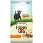 Happy Life Adult with Beef flavouring ХЕППІ ЛАЙФ ЯЛОВИЧИНА сухий преміум корм для собак усіх порід 3 кг Happy Life Adult with Beef flavouring ХЕППІ ЛАЙФ ЯЛОВИЧИНА сухий преміум корм для собак усіх порід 3 кг