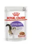 Вологий корм Royal Canin STERILISED для котів всіх порід 85 г Вологий корм Royal Canin STERILISED для котів всіх порід 85 г