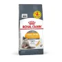 Сухий корм Royal Canin HAIR&SKIN CARE для котів всіх порід 8кг+2кг Сухий корм Royal Canin HAIR&SKIN CARE для котів всіх порід 8кг+2кг