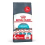 Сухий корм Royal Canin URINARY CARE для котів всіх порід 2 кг + WET Urinary Care Gravy 85г х 4шт Сухий корм Royal Canin URINARY CARE для котів всіх порід 2 кг + WET Urinary Care Gravy 85г х 4шт