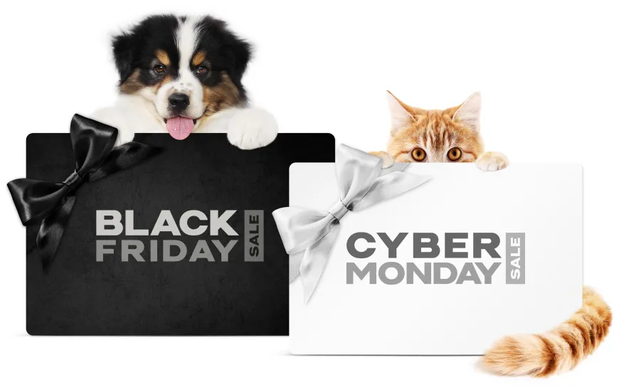 Black Friday в КітПес! Не чекали? А ми вже запустили чорну п'ятницю!