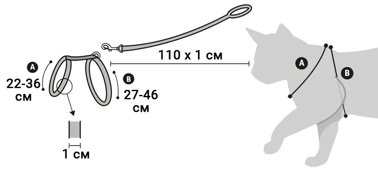 Шлей для котів Flamingo Ziggi. Розміри Шлей для котів Flamingo Ziggi. Розміри Для визначення розміру шлейи необхідно зняти 2 мірки з кота :</p>- обхват шиї в найширшому місці (А): сантиметрова стрічка проходить по передньому краю лопатки та кілю (опуклій частині грудної кістки); <br>обхват грудей (В): сантиметрова стрічка проходить за передніми лапами кота.